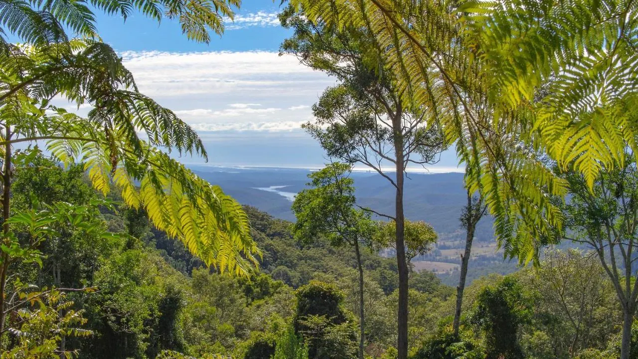 Binna Burra Rainforest Campsite Beechmont