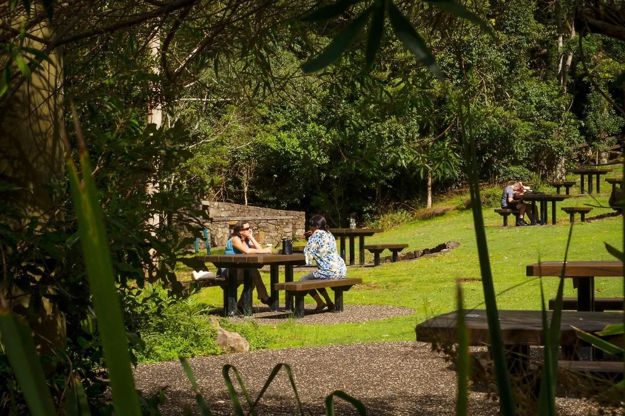 Binna Burra Rainforest Campsite Beechmont