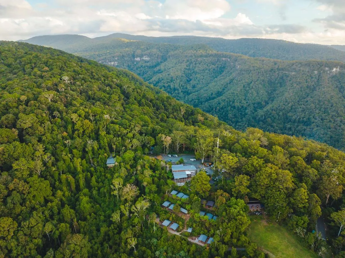 Binna Burra Rainforest Campsite Beechmont Australia