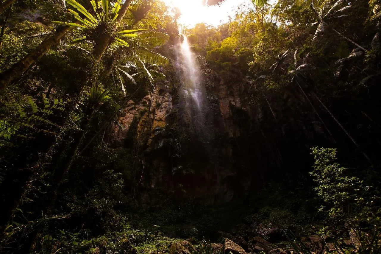 Binna Burra Rainforest Campsite Beechmont