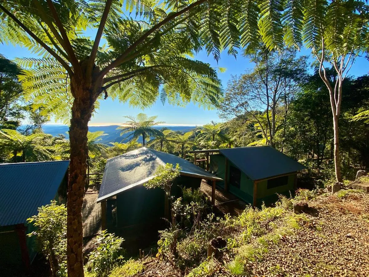 Binna Burra Rainforest Campsite Beechmont Australia