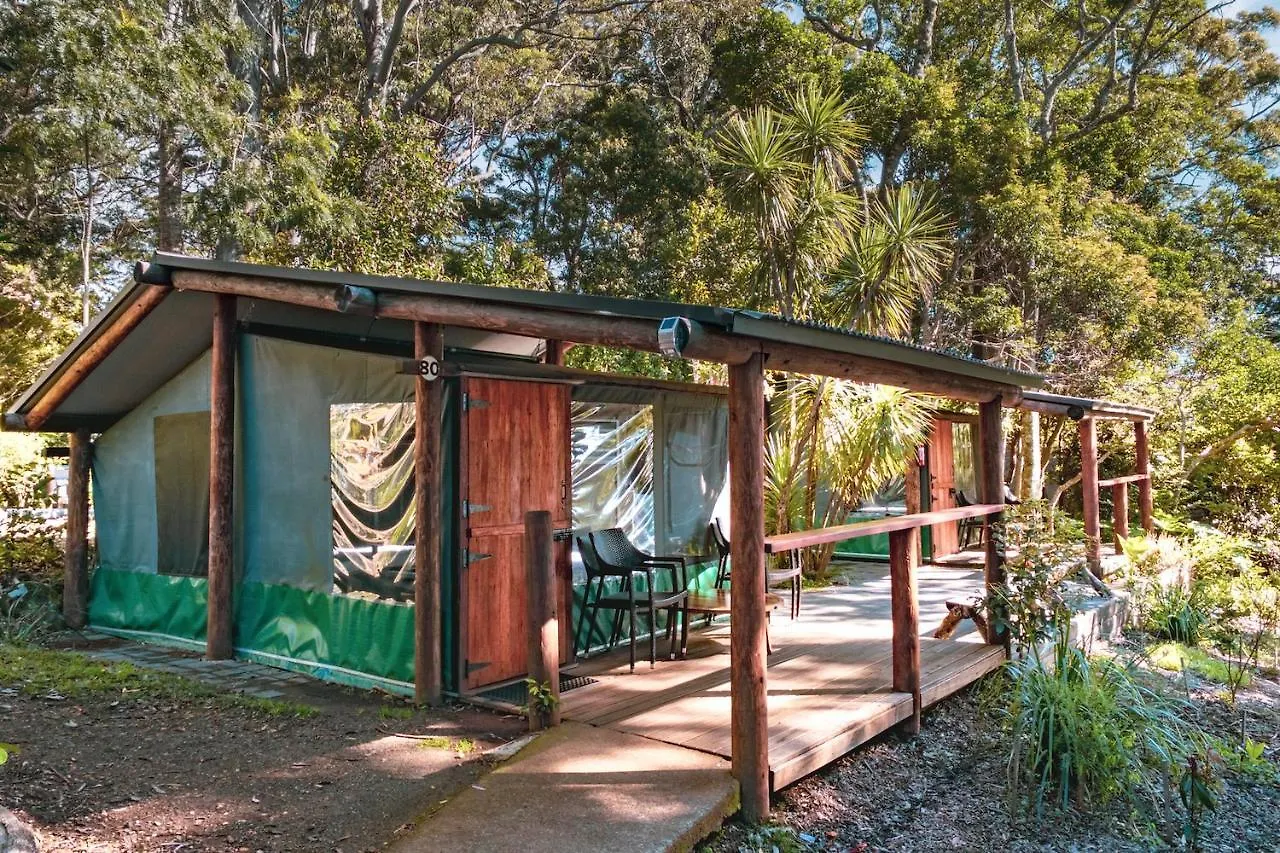 Binna Burra Rainforest Campsite Beechmont