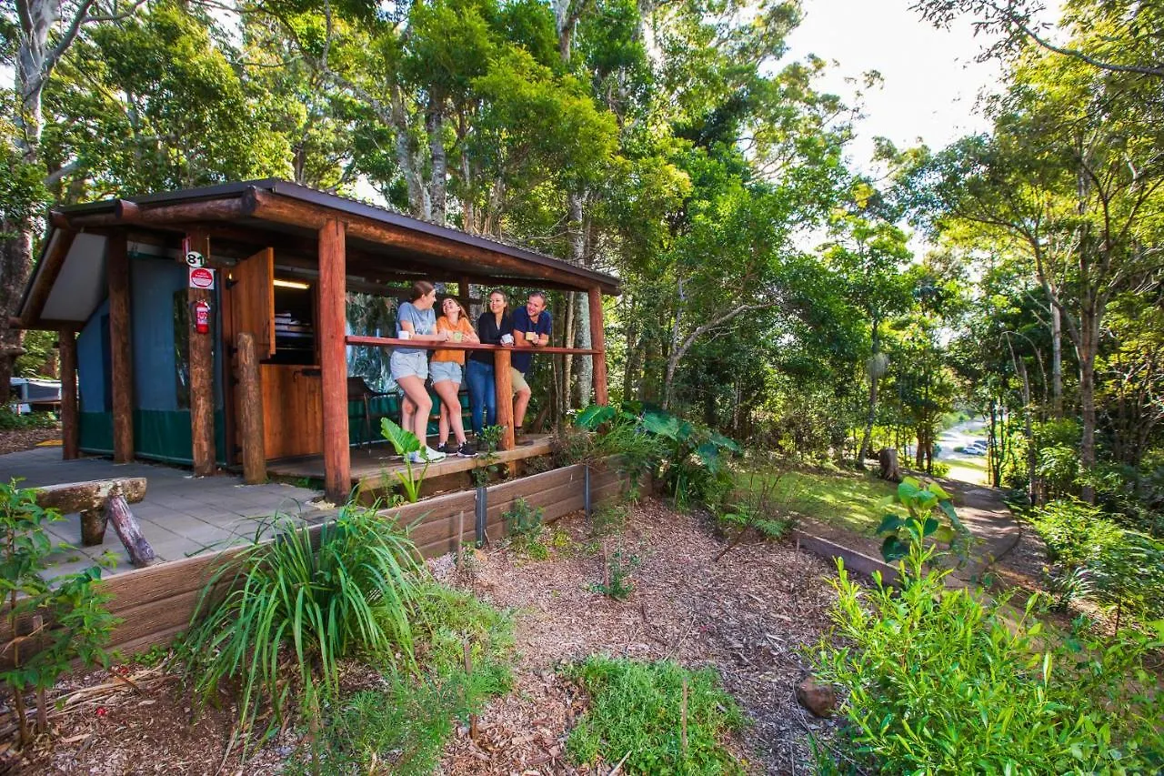 Binna Burra Rainforest Campsite Beechmont Gold Coast