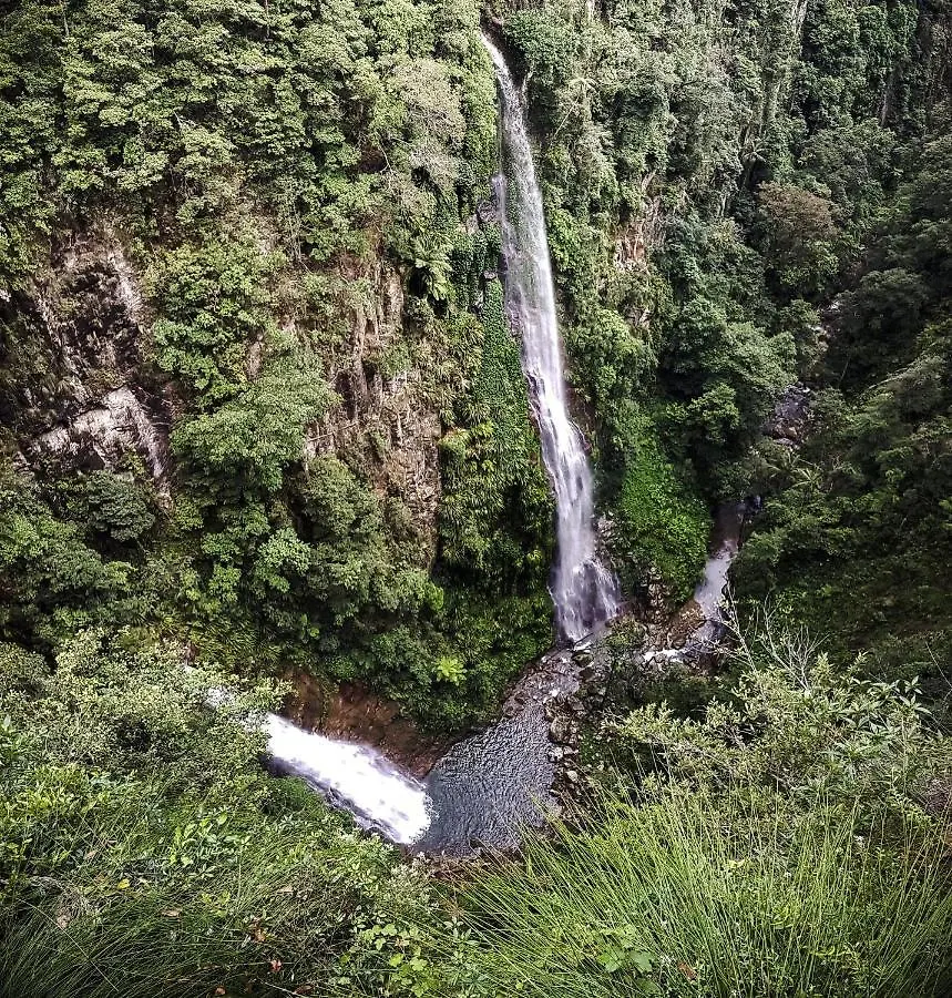 Binna Burra Rainforest Campsite Beechmont Gold Coast